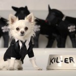 OSCARS/DOGGYFASHION