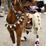 BRAZIL CARNIVAL