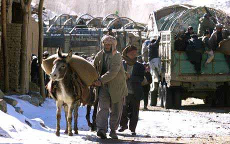 explosive donkey 10 Cruel Examples of People Making Animals Explode