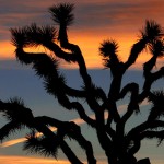 sunset_002