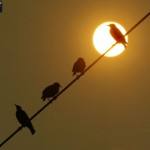 sunset_013