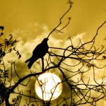 sunset_016