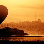 sunset_019
