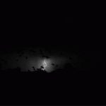 Eyegasm-25