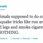 Laughter Shocks 08