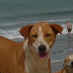 Monday Photobombs  03