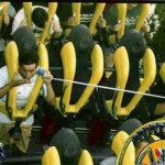 People From Roller Coasters ThumbPress 41