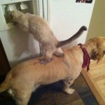 Teamwork