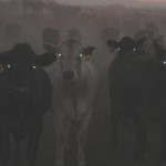 The uprising is about to begin.