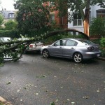 You lucky, lucky bastard (Hurricane Irene edition)