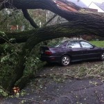 You...are very lucky. Hurricane Aftermath
