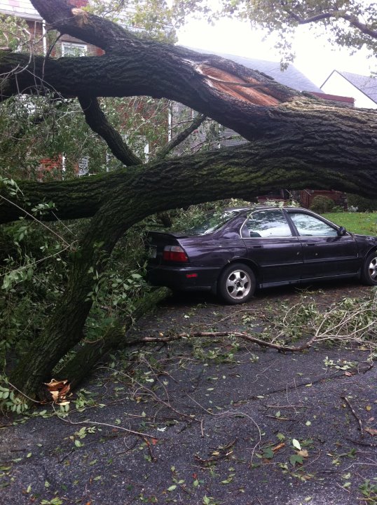You...are very lucky. Hurricane Aftermath