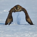 And we have a lift-off