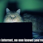 Because on the Internet....