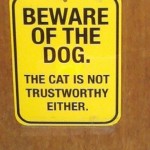 Beware of the dog...