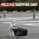 Invisible Cat 01