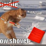 Invisible Cat 02