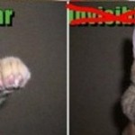 Invisible Cat 03