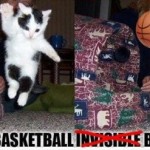 Invisible Cat 08
