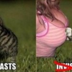 Invisible Cat 09