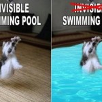 Invisible Cat 10