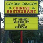 Pet missing