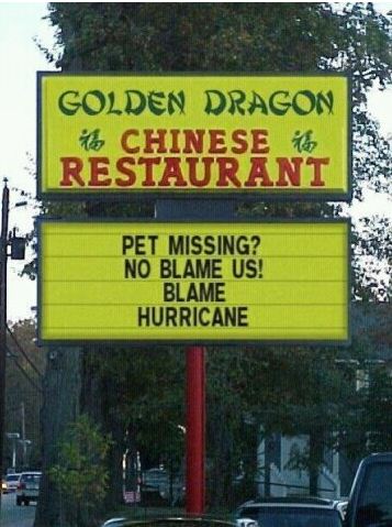 Pet missing