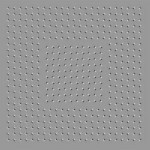 Stay still damn you!