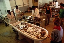 forensic-science