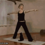 Funny Cat Gifs 13