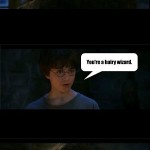 Hairy-Wizard