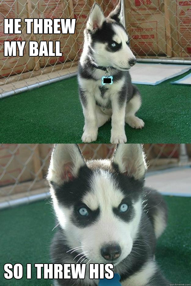 Insanity puppy - he threw my ball so i threw his