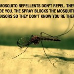 Mosquitos