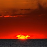 Pikachu Sunrise