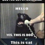 YES-THIS-IS-DOG-1