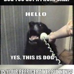 YES-THIS-IS-DOG-2