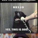 YES-THIS-IS-DOG-3