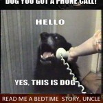 YES-THIS-IS-DOG-5