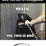 YES-THIS-IS-DOG-7