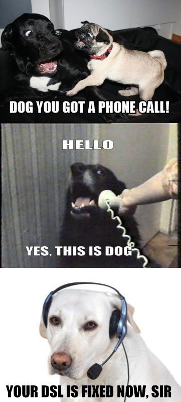 The Phone Dog: Hilarious Meme Remixes (9 Pics)