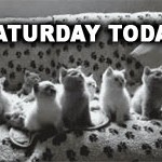 caturday-thumb