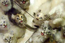 hungry-cats
