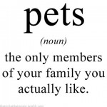 Pets