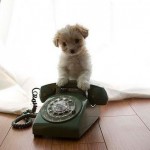 She said she'd call..