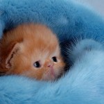 Snuggly