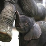 ZOMG your feet are so big mom