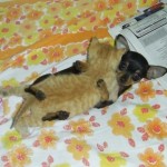 hugs
