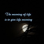 meaning of life