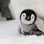 squish me mom