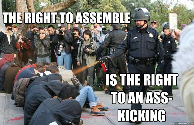 the right to assemble is the right to an asskicking